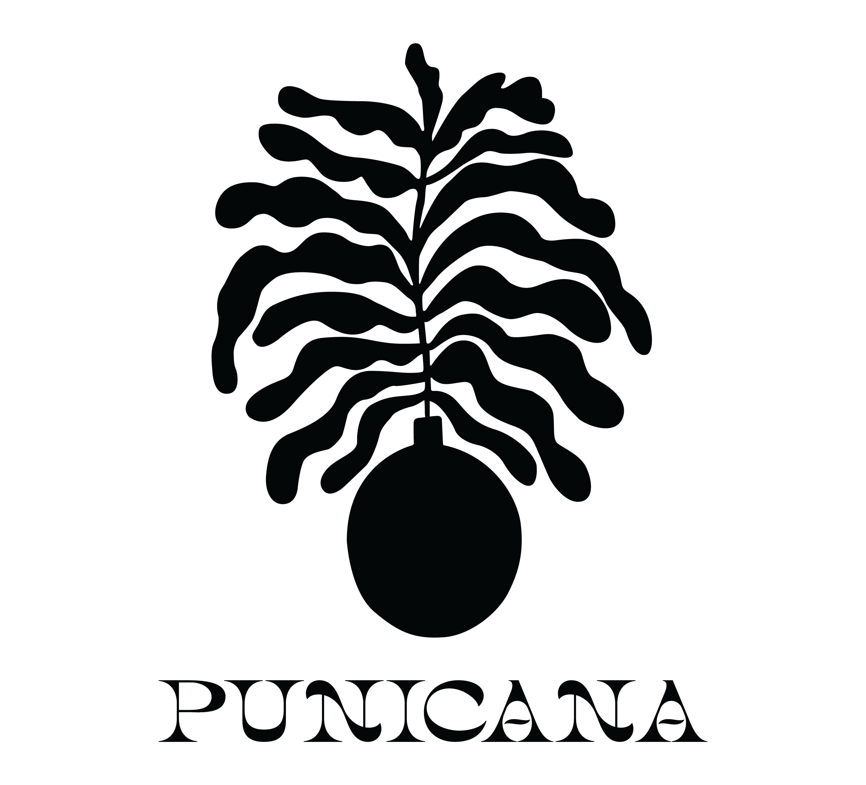 punicana@2x